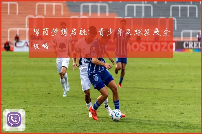 绿茵梦想启航：青少年足球发展全攻略