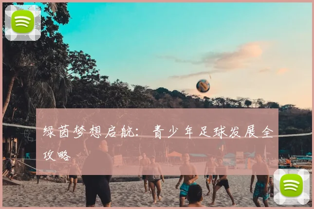 绿茵梦想启航:青少年足球发展全攻略